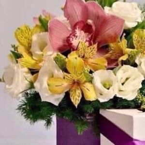 Meet your Posher, Inesa